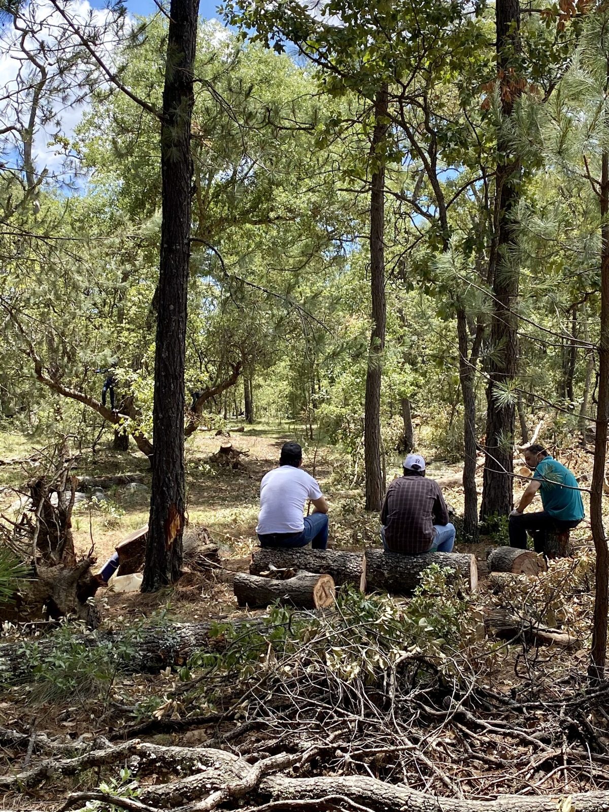 Amigos descansando en el bosque
