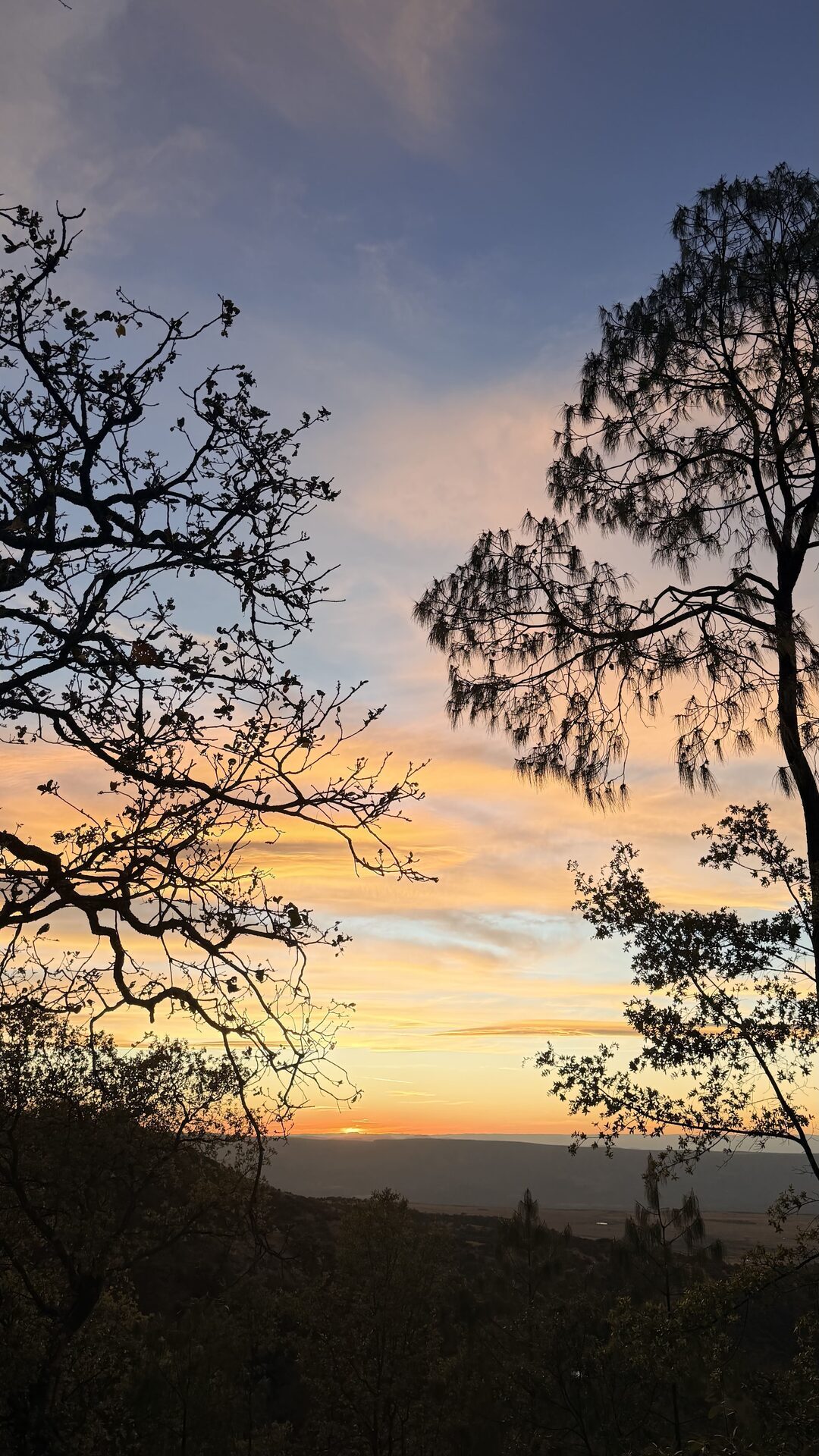 El sol metiéndose tras los árboles de la sierra