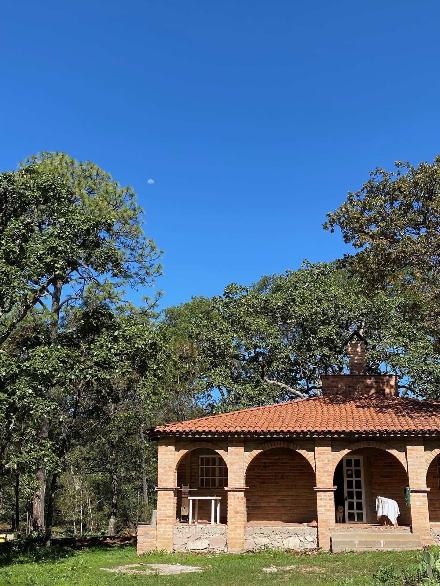 La palapa de arcos de ladrillo entre los árboles, con la luna de día