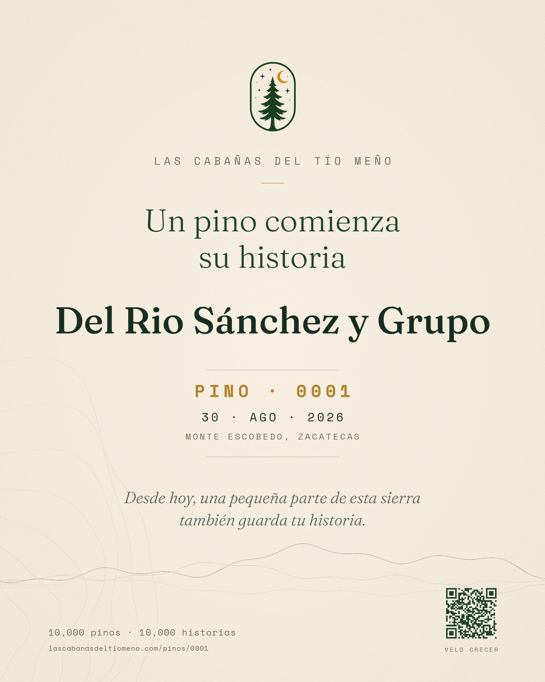 Pino #0001 · Del Rio Sánchez y Grupo